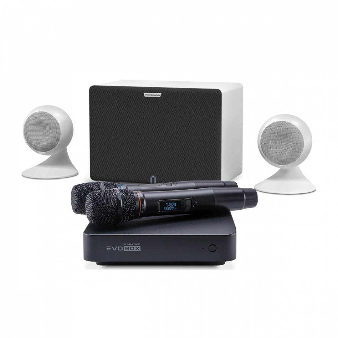 караоке-комплект EVOBOX Classic + EvoSound Sphere 2.1 в Ревде