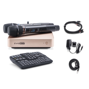 EVOBOX Classic караоке-система для дома в Ревде