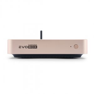EVOBOX Plus караоке-система для дома в Ревде